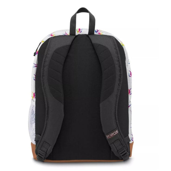 Trans by 2025 jansport backpack black