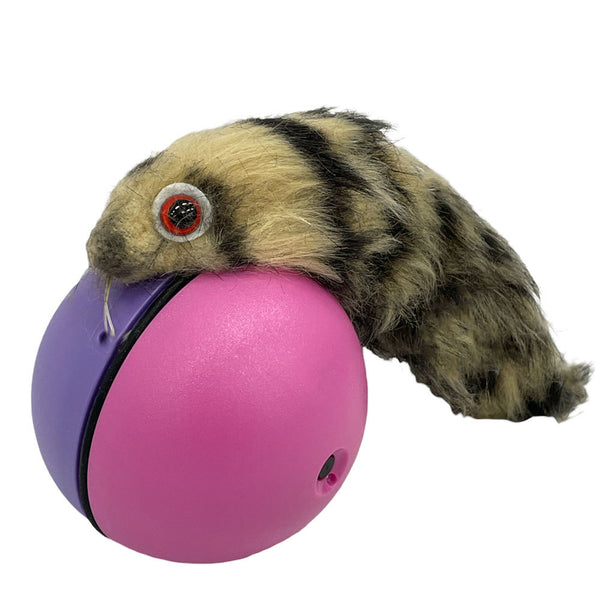 Weasel ball hotsell for dogs