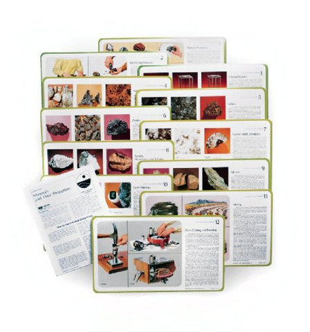 American Educational Products 12 Piece Minerals Study Print Set -