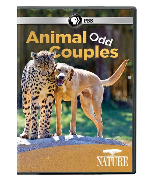 Nature: Animal Odd Couples DVD PBS -